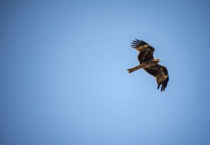 Unquestionable Freedom